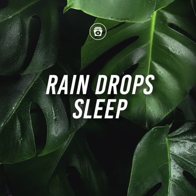 Rain Drops Sleep - Hypnosis Therapy