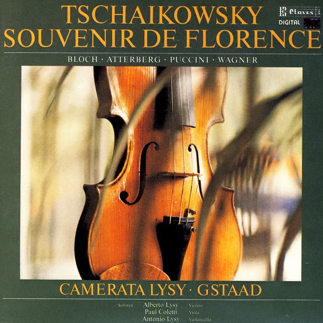 Tchaikovsky, Bloch, K. Atterberg, Puccini & Wagner: Music for Strings - Alberto Lysy