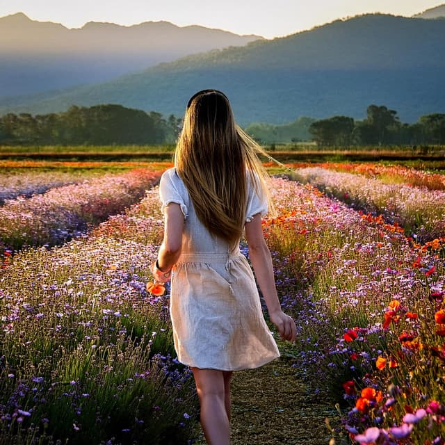 Sonidos De Serenidad: Melodías Para La Relajación Diaria - Restauraciones calmantes