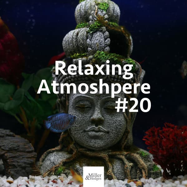 Relaxing Atmoshpere #20 - Relaxing Aquarium Music - Soft Background Music