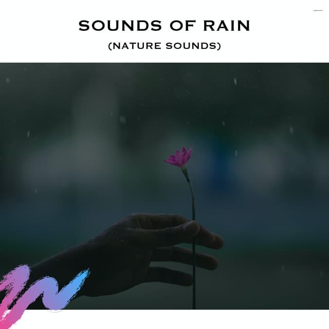 Sounds of Rain - Rain Radiance