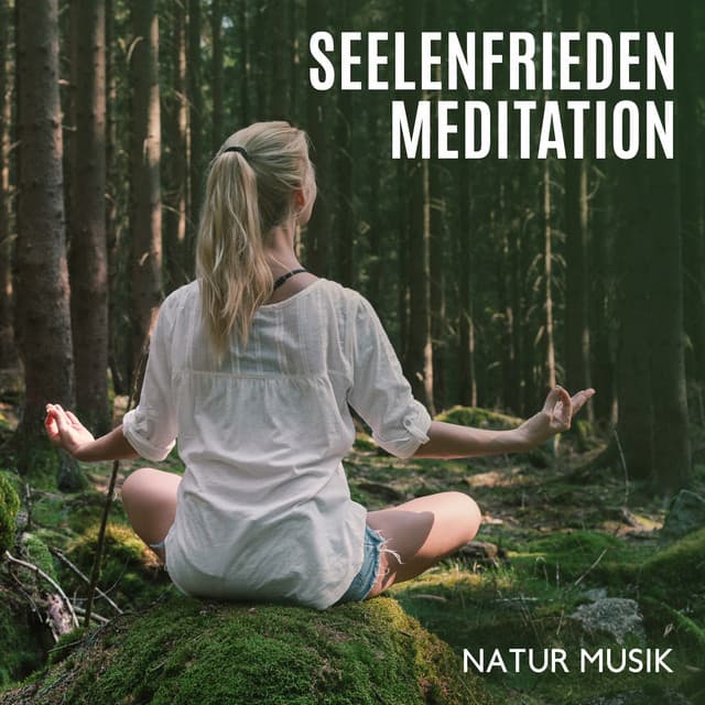 Seelenfrieden Meditation: Natur Musik - Naturgeräusche Meditationsmusik