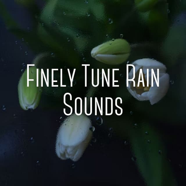 Finely Tune Rain Sounds - Relaxing Zen Spa
