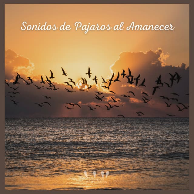 Sonidos de Pajaros al Amanecer - Sonidos De Pajaros