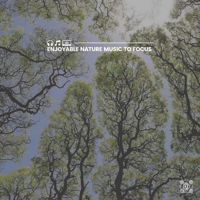 Enjoyable Nature Music to Focus - Island Nature Sounds