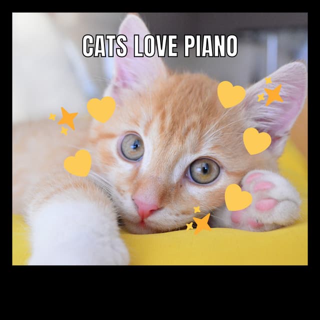 Cats Love Piano - Cat Music