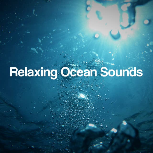 Relaxing Ocean Sounds - The Relaxing Sounds of Swedish Nature