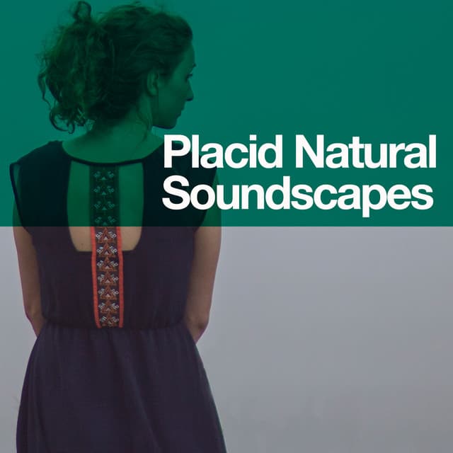 Placid Natural Soundscapes - Ambient Nature Sounds