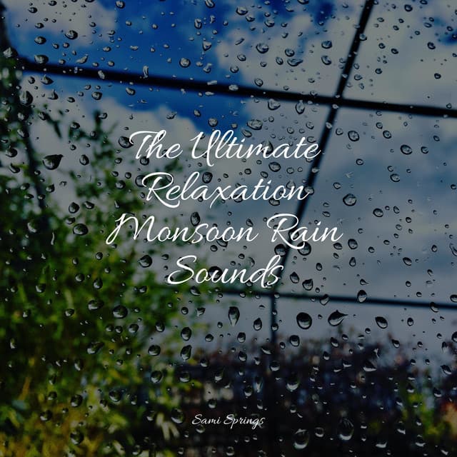The Ultimate Relaxation Monsoon Rain Sounds - Sleep Rain