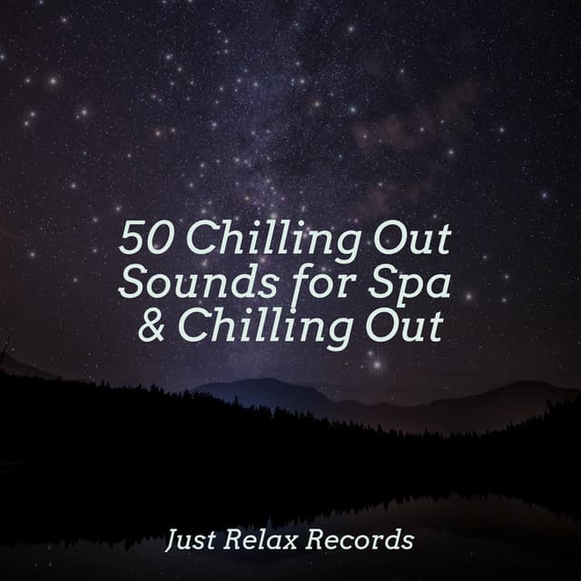50 Chilling Out Sounds for Spa & Chilling Out - Instrumental