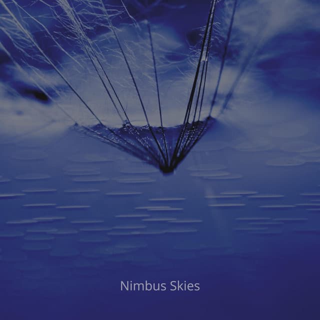 Nimbus Skies