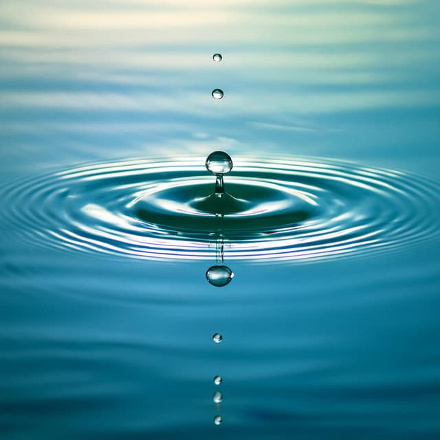 Retiro Tranquilo: Melodías Relajantes Para La Relajación Diaria - Calma californiana