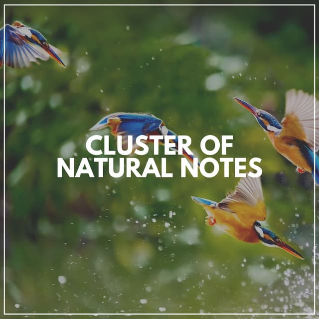 Cluster of Natural Notes - Nature Label