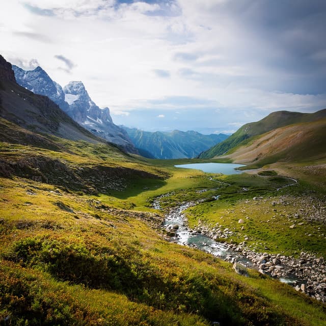 Lofi Tranquil Horizon: Soft Sounds for Relaxed Reflection and Clear Minds - Waves of Relax