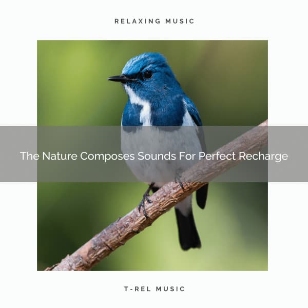 The Nature Composes Sounds For Perfect Recharge - Aquagirl