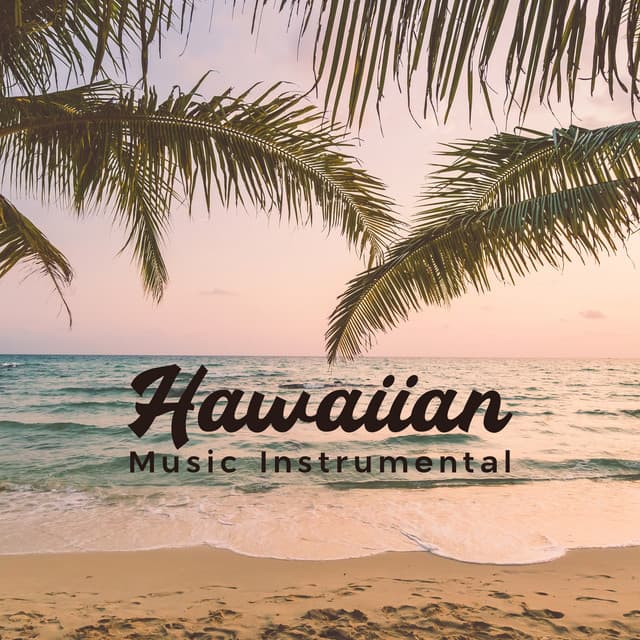 Hawaiian Music Instrumental - Li Pash