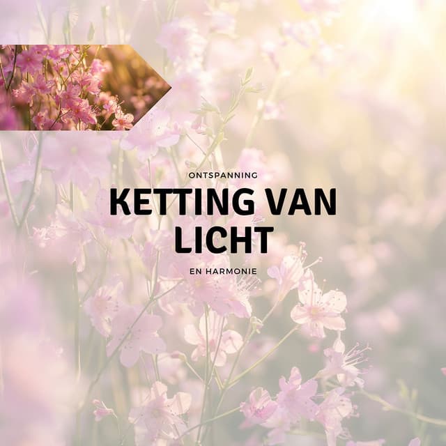 Ketting van Licht - Ontspanning en Harmonie