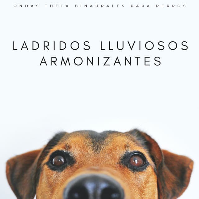 Ladridos Lluviosos Armonizantes: Ondas Theta Binaurales Para Perros - Binauralidades