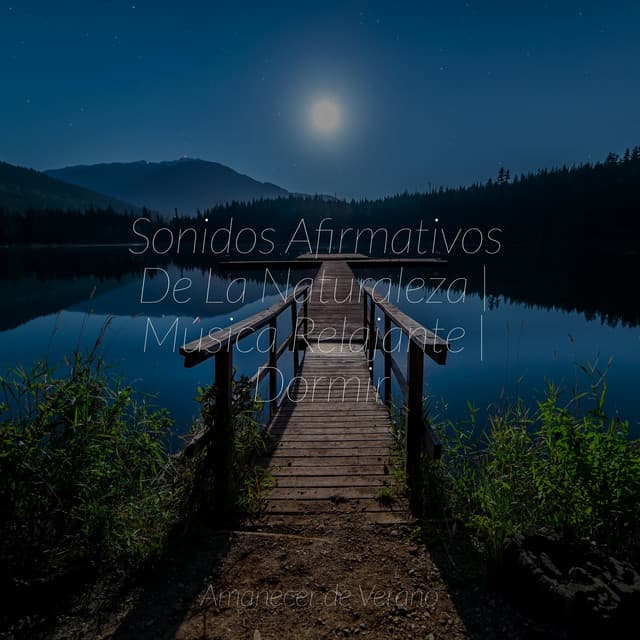 Sonidos Afirmativos De La Naturaleza | Música Relajante | Dormir - Nature Sounds Nature Music