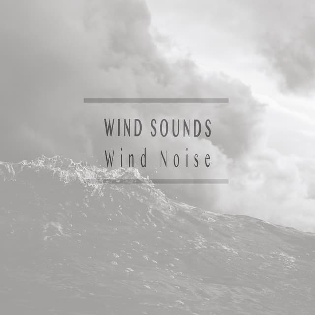 Wind Noise - Wind Sounds