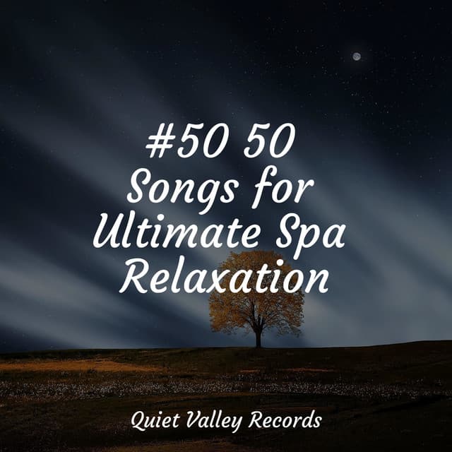 #50 50 Songs for Ultimate Spa Relaxation - Rain Hard
