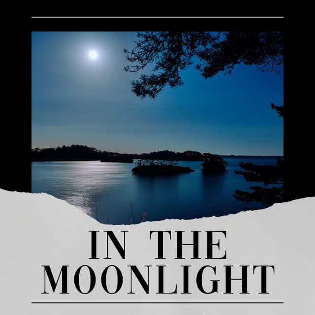 In the Moonlight - Sound of Nature Library
