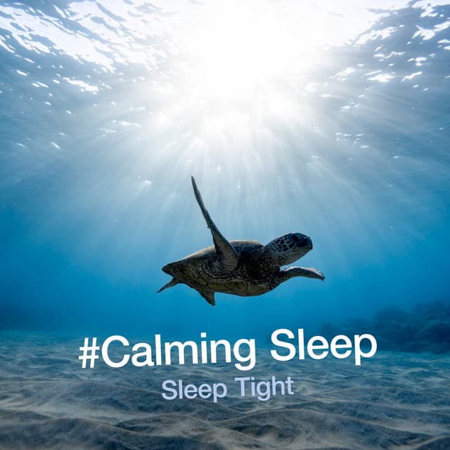 #Calming Sleep - Sleep Tight