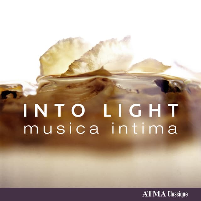 Into Light - musica intima