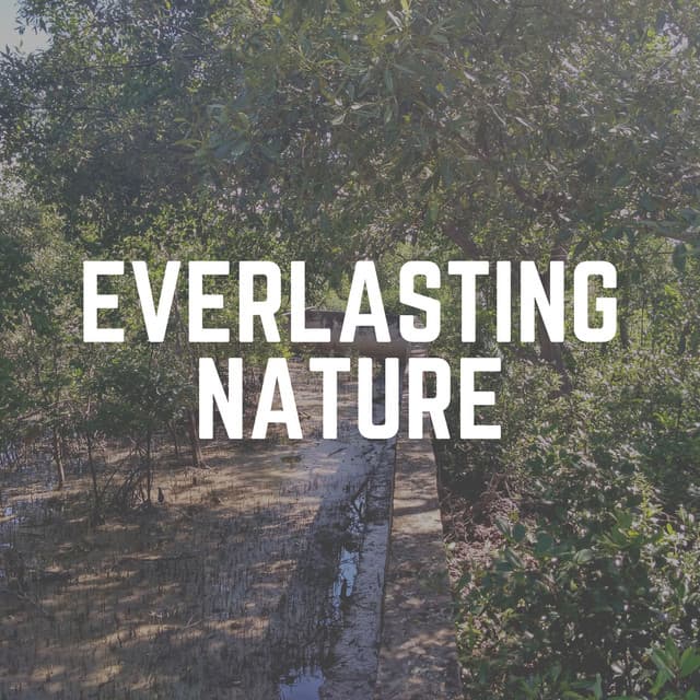 Everlasting Nature - Cricket Sounds