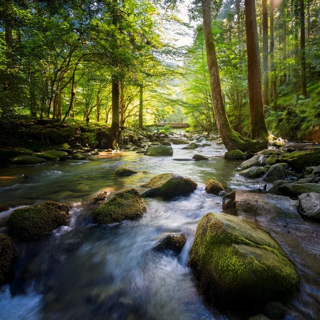 Perfect Relaxing Music