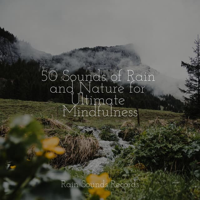 50 Sounds of Rain and Nature for Ultimate Mindfulness - Musica Relajante Specialistas & Musica Relajante