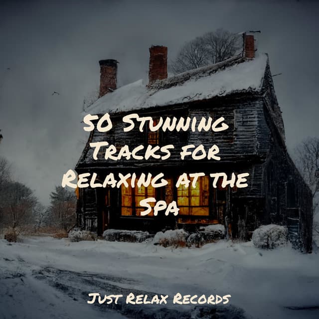 50 Stunning Tracks for Relaxing at the Spa - Sonidos de la Naturaleza Relajacion