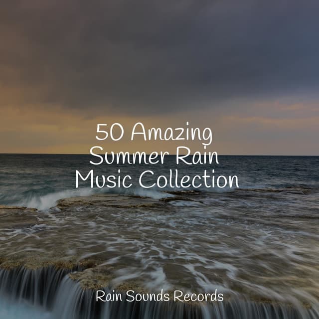 50 Amazing Summer Rain Music Collection - Music For Absolute Sleep