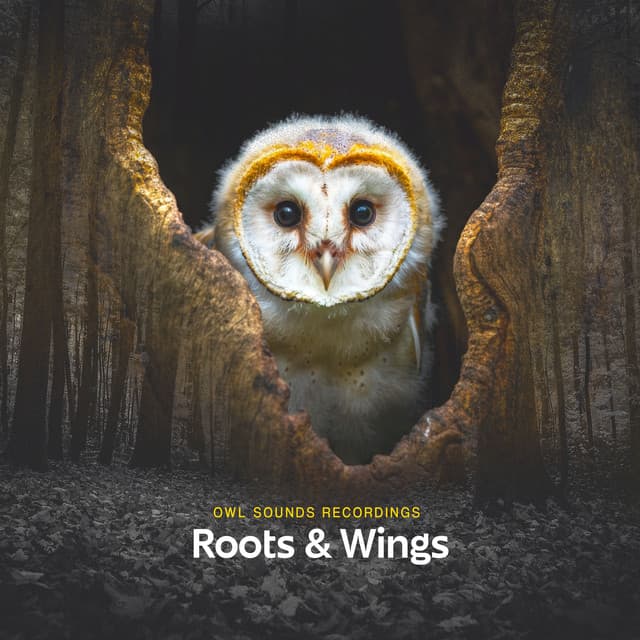Roots & Wings - Owl Sounds Recordings