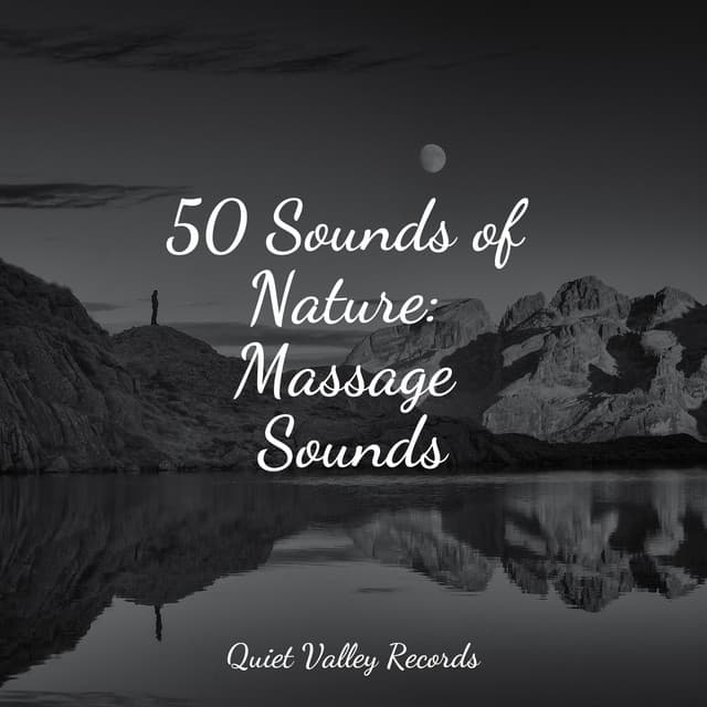 50 Sounds of Nature: Massage Sounds - Nature Chillout