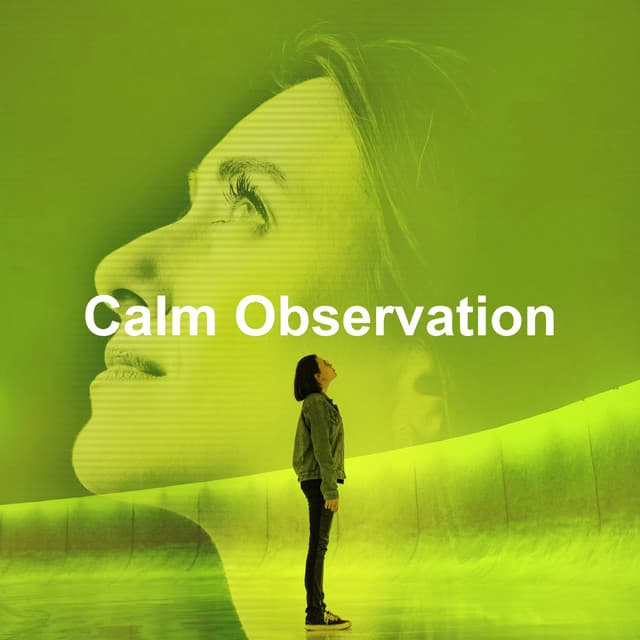 Calm Observation - Dreamy Thoughts