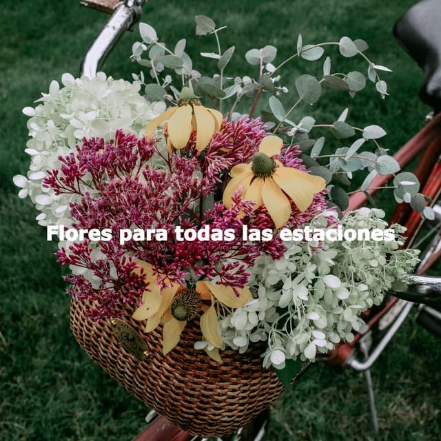 Flores para todas las estaciones - Evening Jazz Chill
