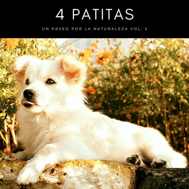 4 Patitas: Un Paseo Por La Naturaleza Vol. 2 - Academia de Música con Sonidos de la Naturaleza