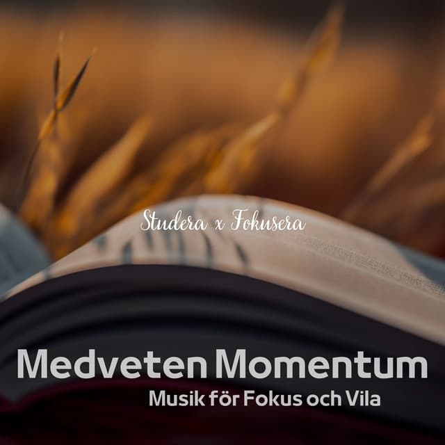 Medveten Momentum: Musik för Fokus och Vila - Studera x Fokusera