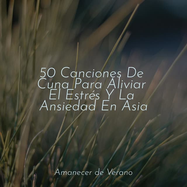 50 Canciones De Cuna Para Aliviar El Estrés Y La Ansiedad En Asia - Relajación Meditar Academie
