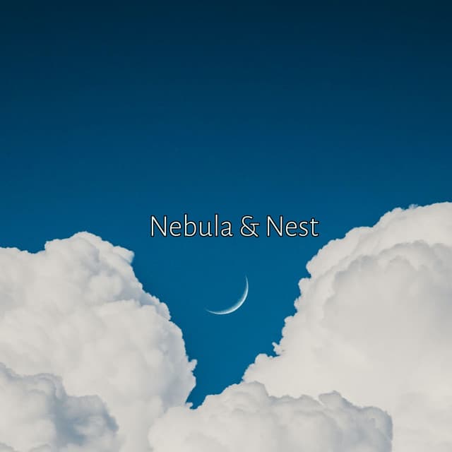 Nebula & Nest - Minds United