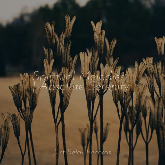 Spiritual Melodies | Absolute Serenity - Meditación Guiada
