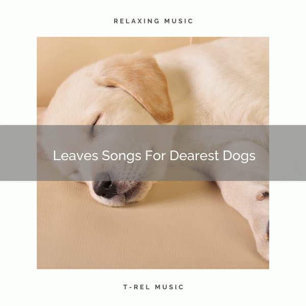 Leaves Songs For Dearest Dogs - Dog Relax