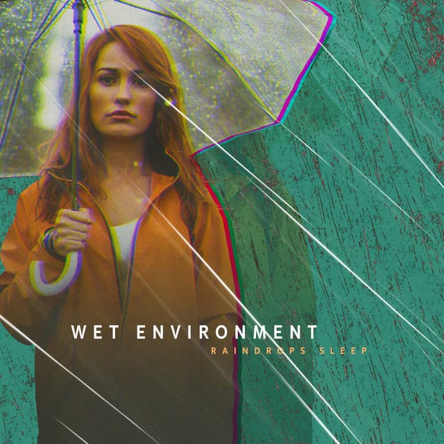 Wet Environment - Raindrops Sleep