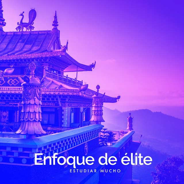 Enfoque de élite - Estudiar Mucho