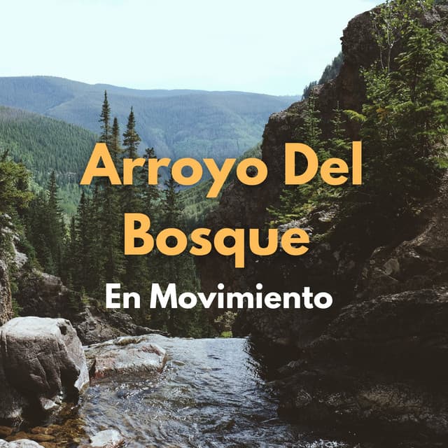 Arroyo Del Bosque En Movimiento - Paisajes sonoros de agua