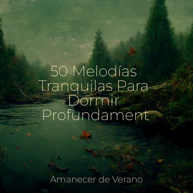 50 Melodías Tranquilas Para Dormir Profundamente - Meditación Maestro