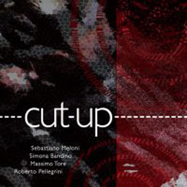 Cut-Up - Sebastiano Meloni