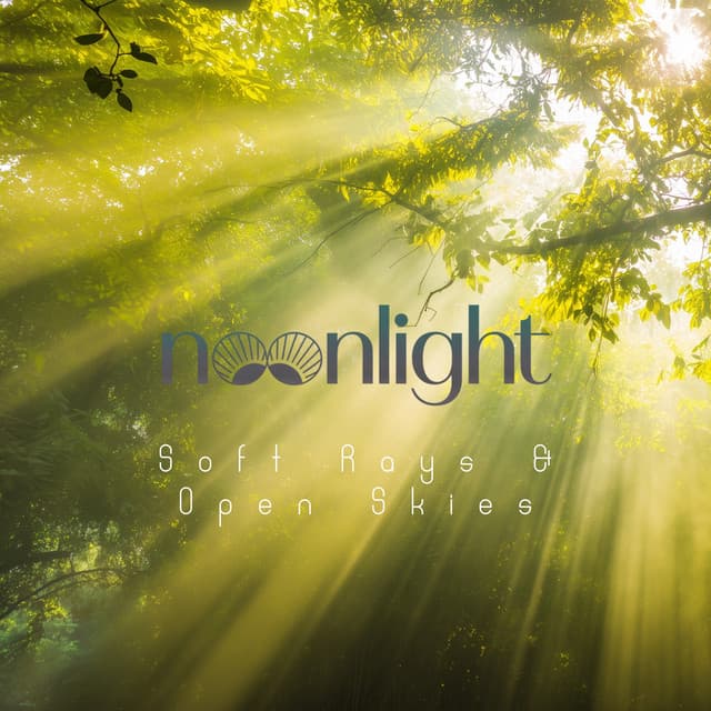 Noonlight