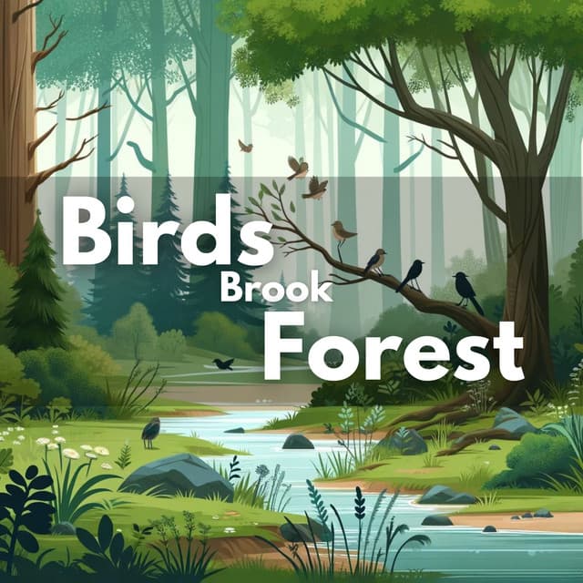 Birds Brook Forest: Nature Serenity, Calm Environment, Tranquil Woods - Therapeutic Music Zone